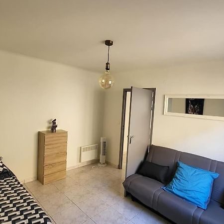 Appartement Chaleureux, Proche De La Gare Perpignan Dış mekan fotoğraf